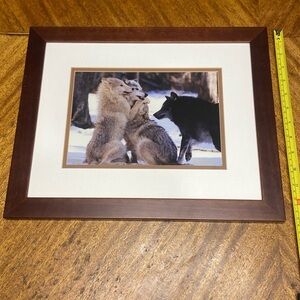 “Group Hug” Timber Wolves Montana by Richard Jackson Photography